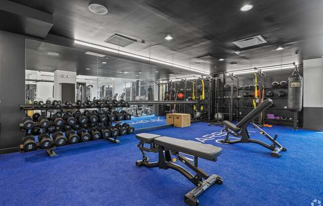 a view of the gym with weights and dumbbells