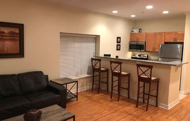 Historical 1 Bedroom SPACIOUS units!