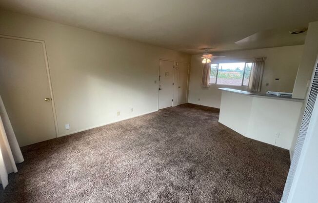 Studio, 1 bath, 450 sqft, $1,595, Unit Unit 5