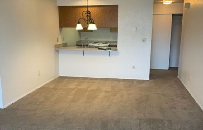 1 bed, 1 bath, 584 sqft, $1,195, Unit 102