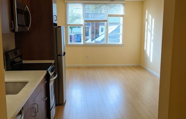 Studio, 1 bath, 393 sqft, $2,495, Unit 311