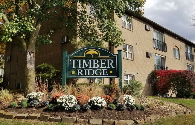 Timber Ridge