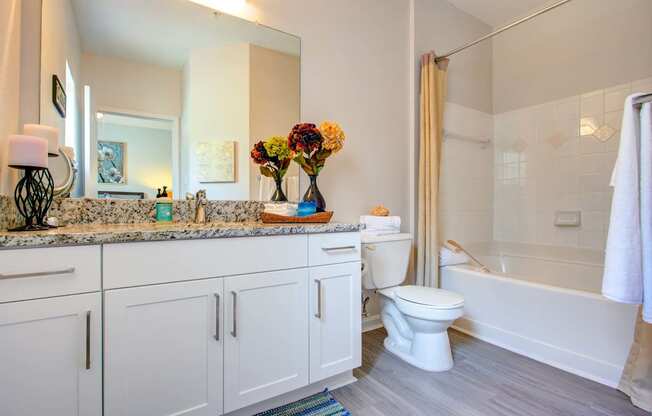 a bathroom with white cabinets and a toilet and a bath tub