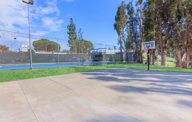 BASKETBALL COURT