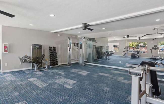 A gym with a variety of equipment including a treadmill, weights, and a bench press.
