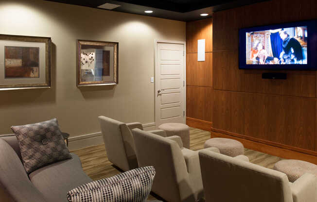 Media Room with TV