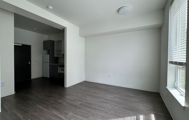 Studio, 1 bath, 317 sqft, $1,095, Unit 207