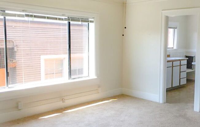 Studio, 1 bath, 494 sqft, $1,350, Unit 1519-104