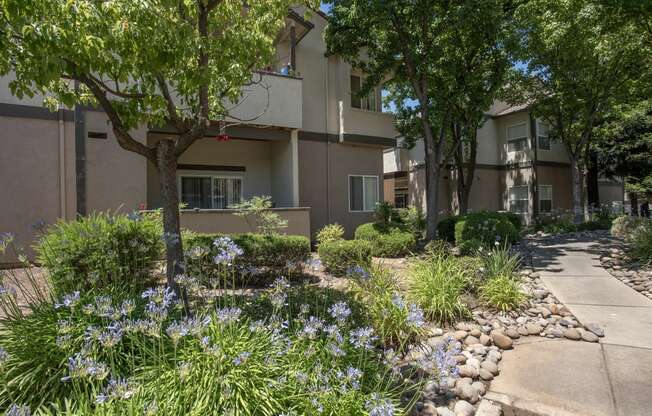 Stanford Heights building exterior sidewalks and landcaping