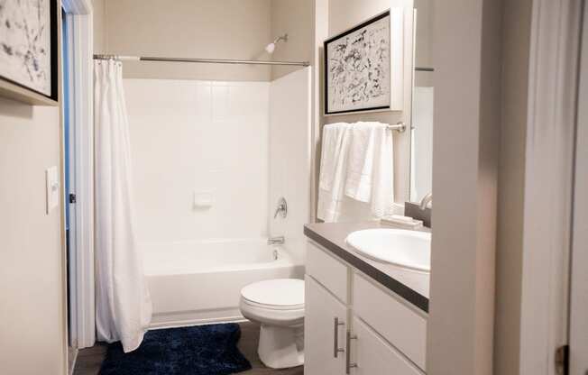 Bathroom with Shower Tub   at One Rocky Ridge Apartment, Georgia