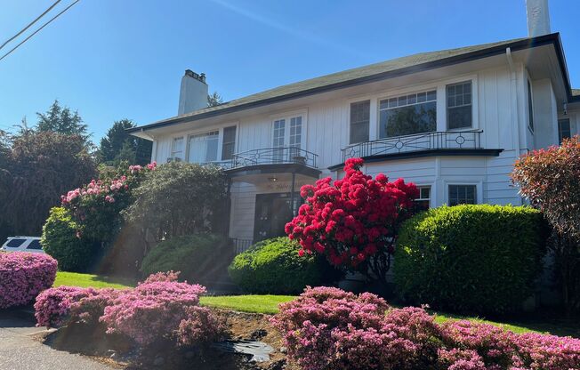 Halsey Villa Apartments