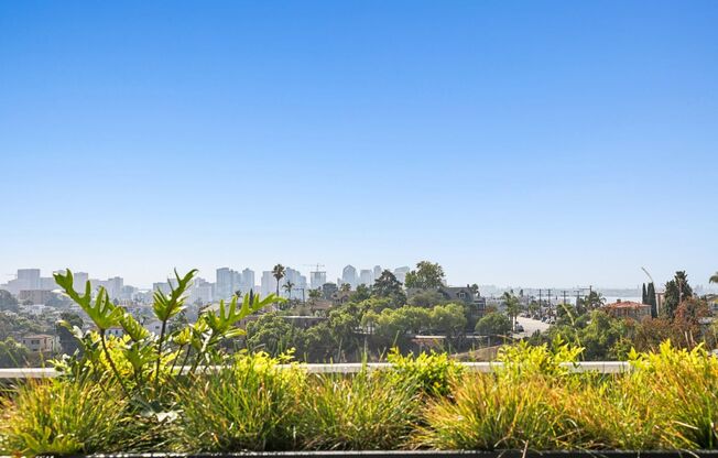 Studio, 1 bath, 362 sqft, $1,995, Unit 311