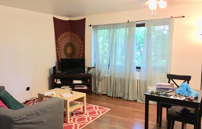 1 bed, 1 bath, $1,195, Unit 17