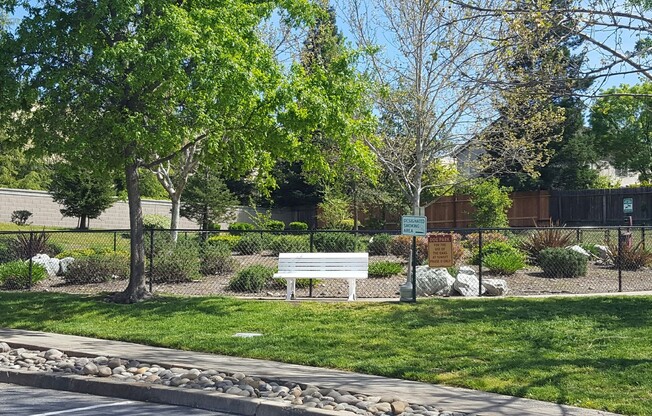 3 beds, 2 baths, 1,076 sqft, $2,250, Unit 2002