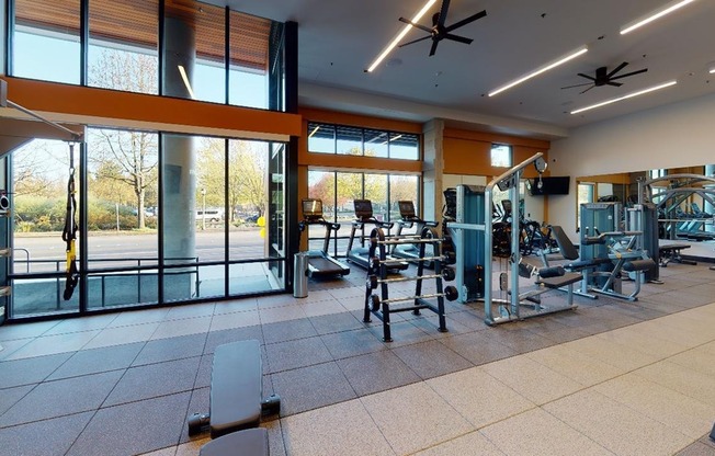 Cardio and weight stations in the club-quality fitness center