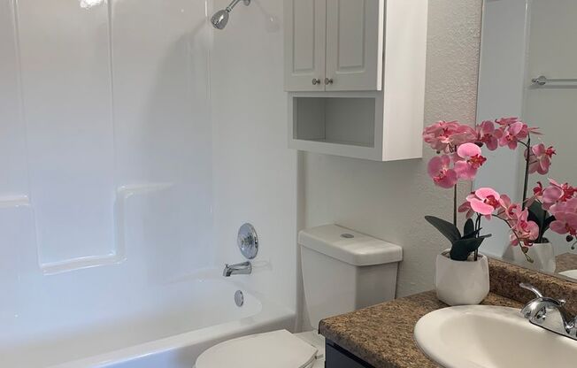1 bed, 1 bath, 620 sqft, $1,200, Unit 3220 N