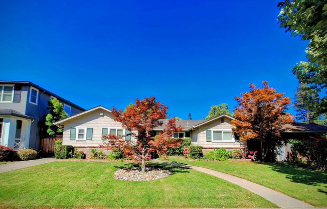 Beautiful 3bd Single Story House on One of the Most Desirable Streets in Willow Glen!
