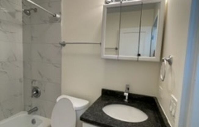 Studio, 1 bath, 475 sqft, $1,250, Unit 401