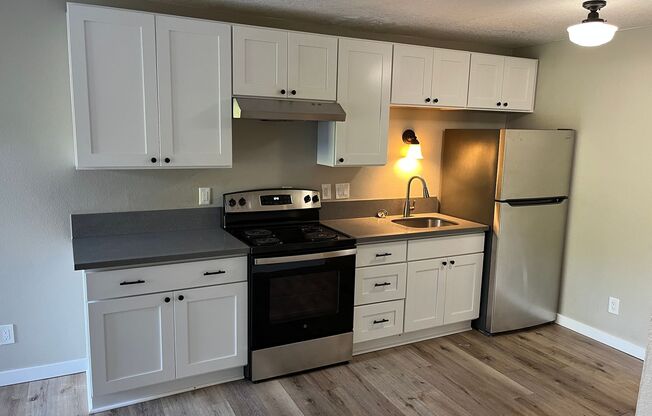 1 bed, 1 bath, 415 sqft, $1,295, Unit 16
