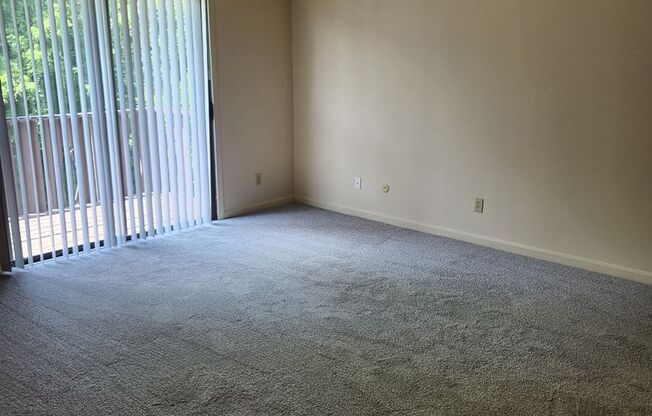 1 bed, 1 bath, 625 sqft, $805, Unit 5054