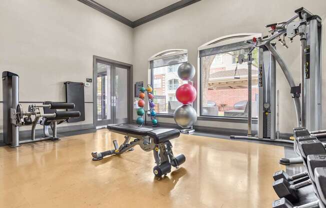 A gym with a variety of equipment including a rowing machine.