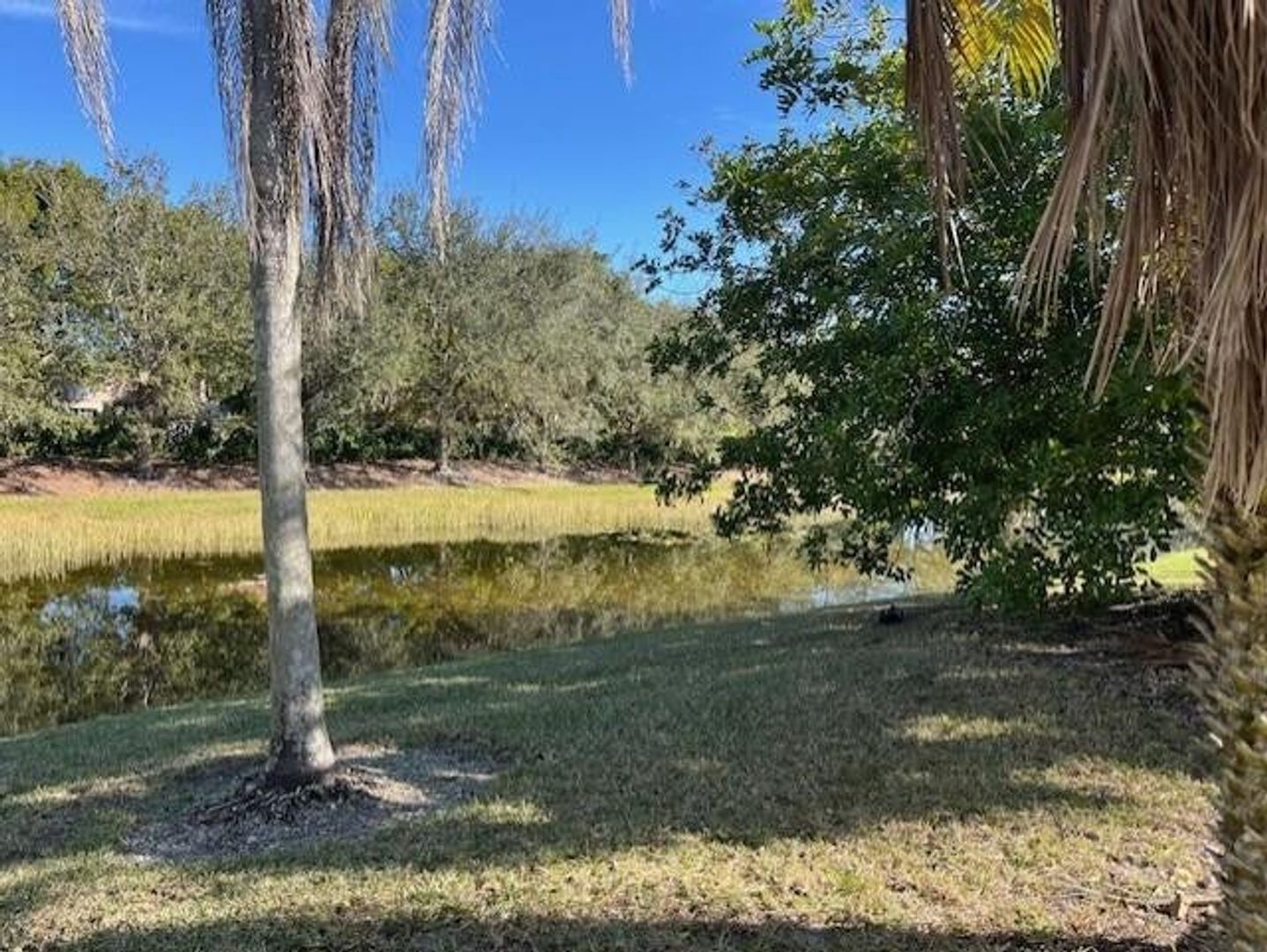 517 SPINNAKER WESTON, FL 33326