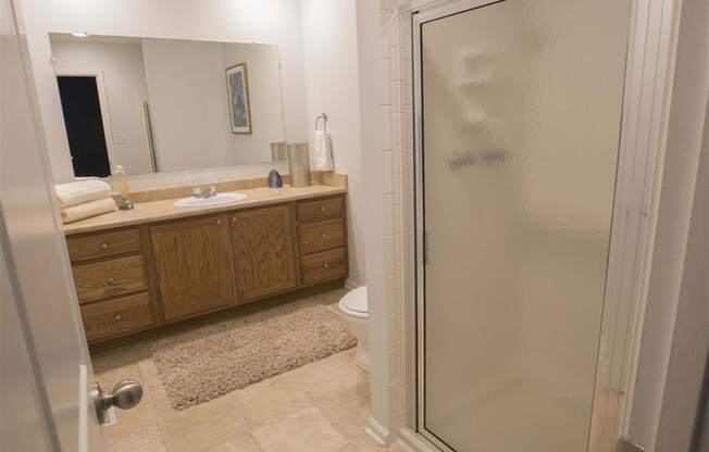 Town-home Master Bath with Shower