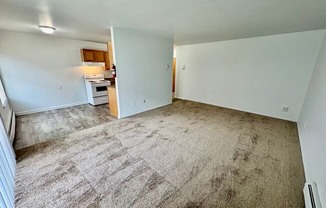 1 bed, 1 bath, 800 sqft, $1,145, Unit 36