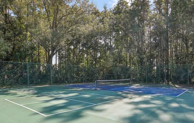 A tennis court surrounded by trees.