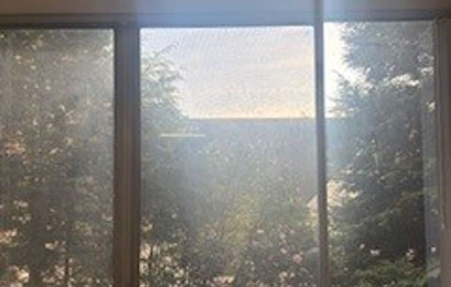 2 beds, 2 baths, 883 sqft, $1,675, Unit 213