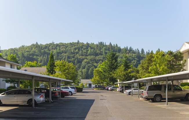 Vista Highlands Driveway