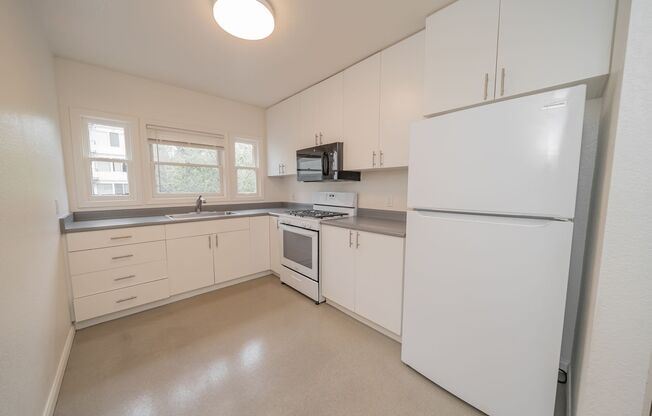 Live Where Berkeley Comes Alive - Steps from Park, Café, and BART