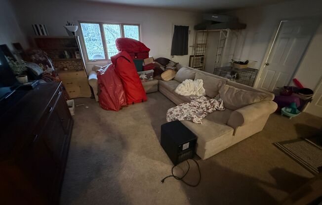 Williamsburg Flats 215