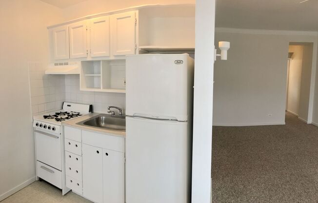 Studio, 1 bath, 233 sqft, $1,425, Unit 415