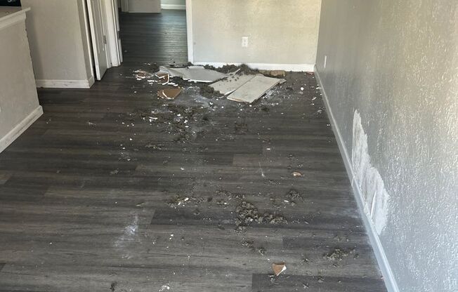 1 bed, 1 bath, 528 sqft, $1,275, Unit 208