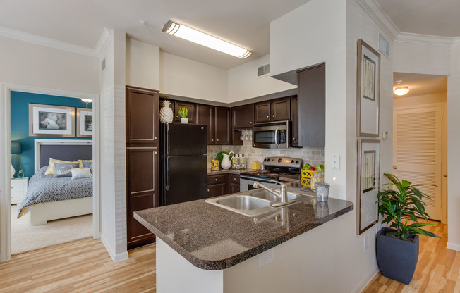View of Kitchen with Stainless Steel Appliances, Plank-Wood Flooring, and Décor at Raveneaux Apartments
