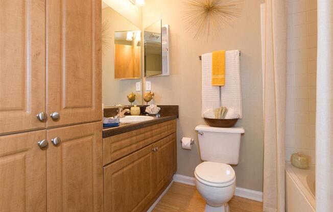 Bathroom 2 at Northlake Apartments in Charlotte NC