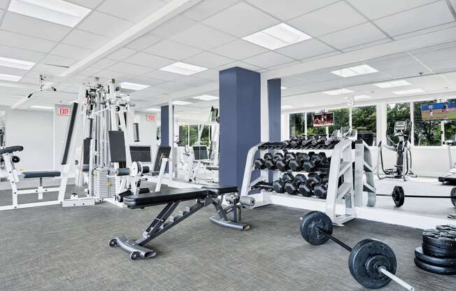 a gym with weights and dumbbells and other exercise equipment