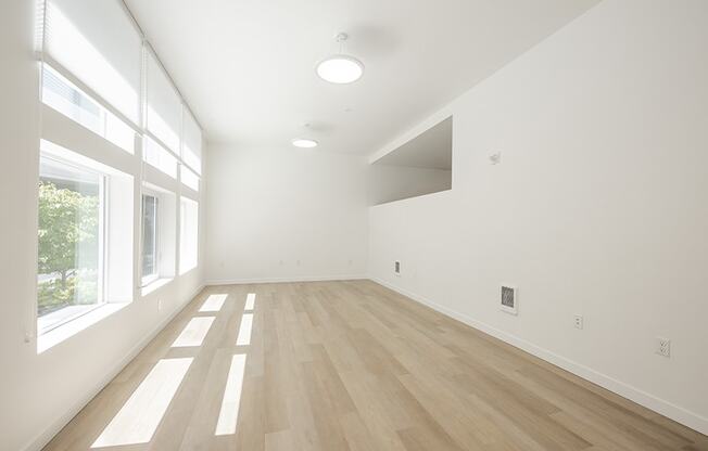 Large room with window and wood floors