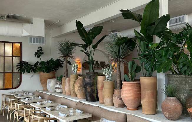 A restaurant with tables and chairs and potted plants on the wall.