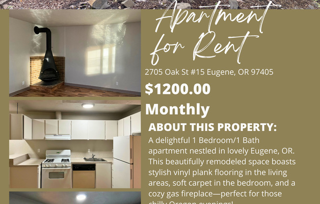 Check out this cozy 1 bedroom, 1 bathroom unit at PKW #15!