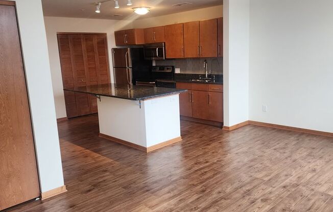 Studio, 1 bath, 541 sqft, $1,325, Unit 301