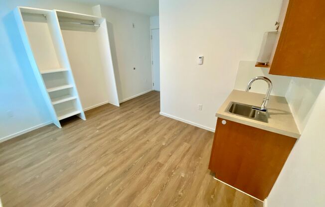 Studio, 1 bath, 175 sqft, $1,195, Unit 4315