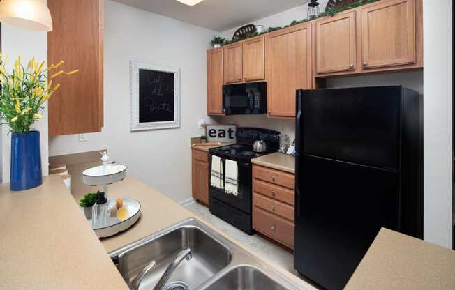 Black Appliances at Abberly Pointe Apartment Homes, Beaufort