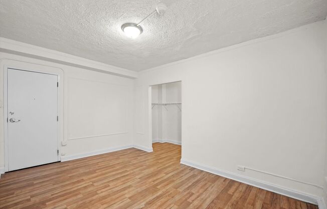 Studio, 1 bath, 381 sqft, $1,095, Unit 206