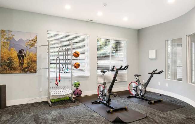 A room with exercise equipment and a painting of a person hiking.