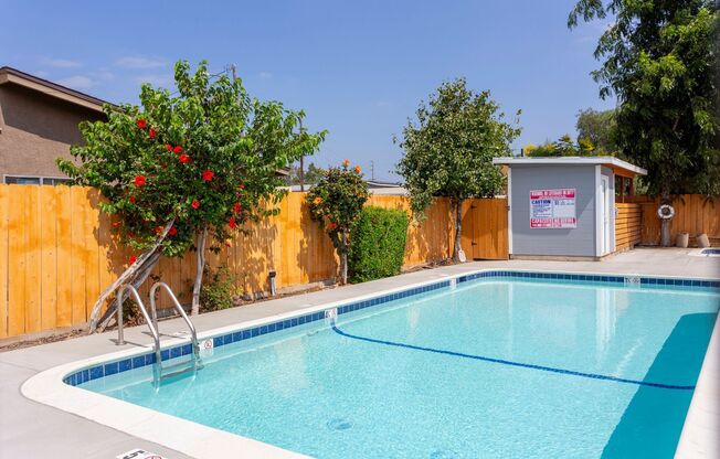 $1000 Off first month! Renovated one bedroom with pool and parking!