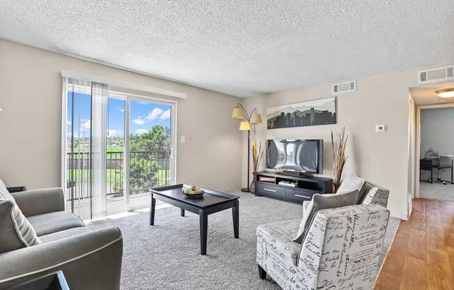 a living room with a couch coffee table and a tv