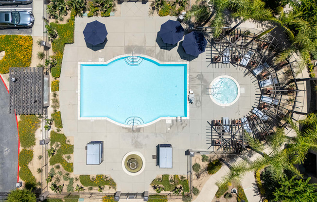 An aerial view of a pool surrounded by palm trees and lounge chairs.