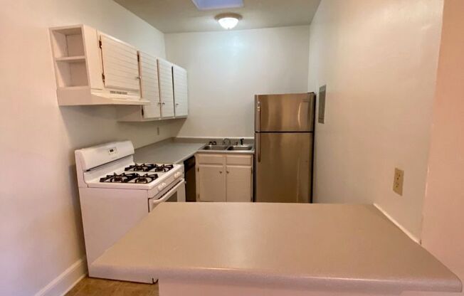 1 bed, 1 bath, 475 sqft, $1,500, Unit 788-13